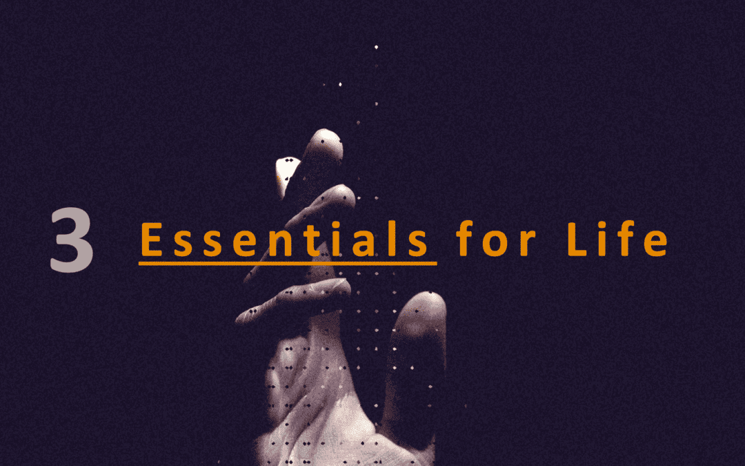 3 Essentials for Living